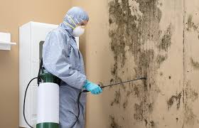 Mold Remediation for Vacation Homes in La Riviera, CA